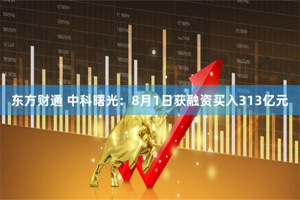 东方财通 中科曙光：8月1日获融资买入313亿元